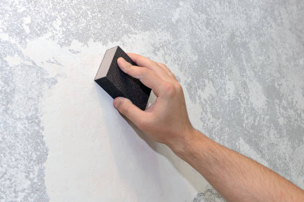  Ansonia, CT Mold Removal Pros