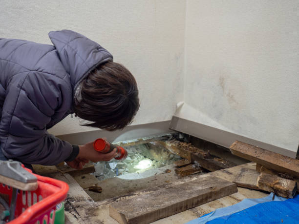 Best Residential Mold Inspection & Testing  in Ansonia, CT