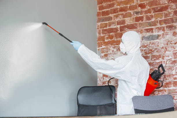 Best Mold Removal for HVAC Installations  in Ansonia, CT