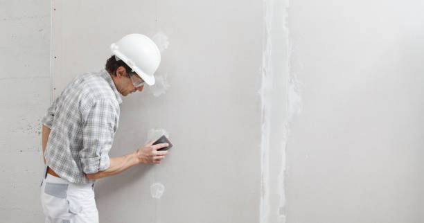 Best Mold Removal for HVAC Installations  in Ansonia, CT