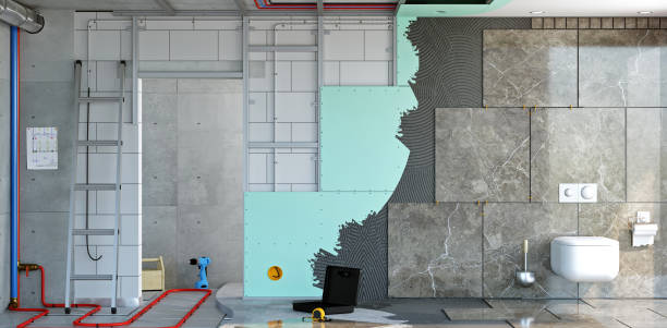 Best Basement Mold Removal  in Ansonia, CT