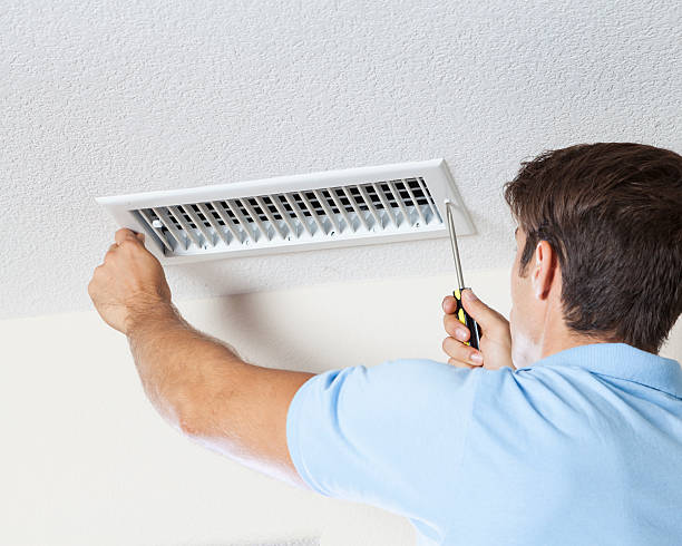 Best Mold Damage Restoration  in Ansonia, CT